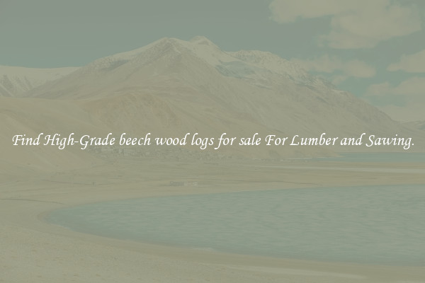 Find High-Grade beech wood logs for sale For Lumber and Sawing.