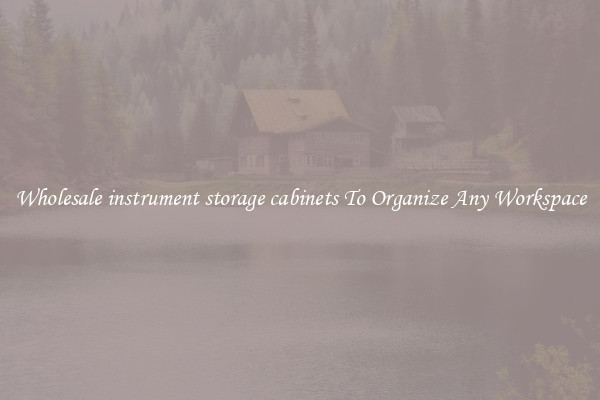Wholesale instrument storage cabinets To Organize Any Workspace