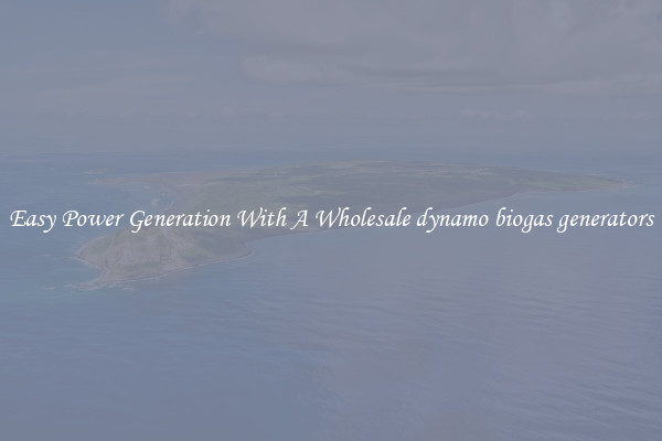 Easy Power Generation With A Wholesale dynamo biogas generators