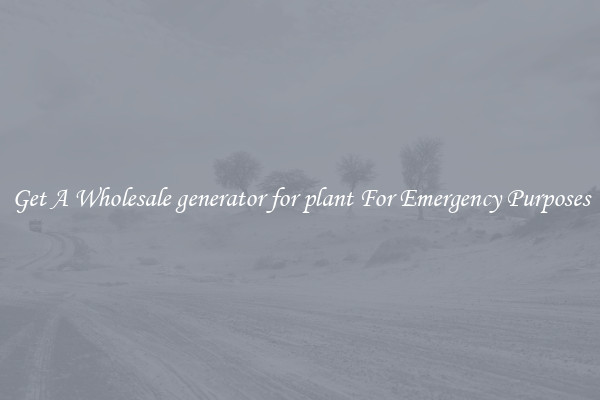 Get A Wholesale generator for plant For Emergency Purposes