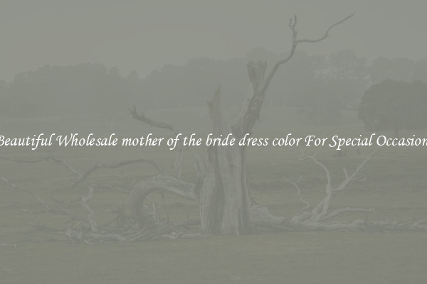 Beautiful Wholesale mother of the bride dress color For Special Occasions