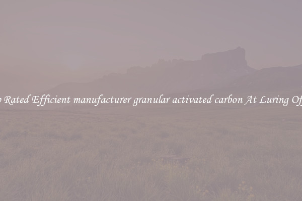 Top Rated Efficient manufacturer granular activated carbon At Luring Offers