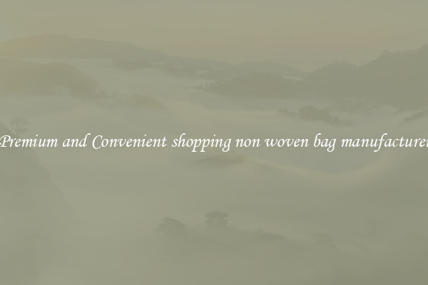 Premium and Convenient shopping non woven bag manufacturer