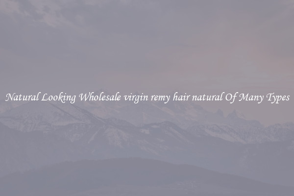 Natural Looking Wholesale virgin remy hair natural Of Many Types