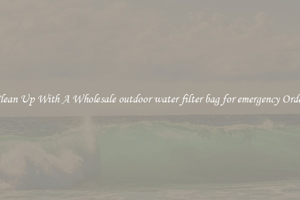 Clean Up With A Wholesale outdoor water filter bag for emergency Order