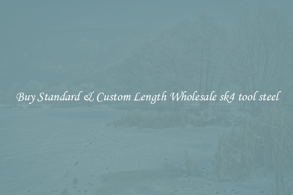 Buy Standard & Custom Length Wholesale sk4 tool steel