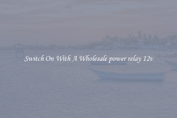 Switch On With A Wholesale power relay 12v