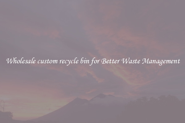 Wholesale custom recycle bin for Better Waste Management