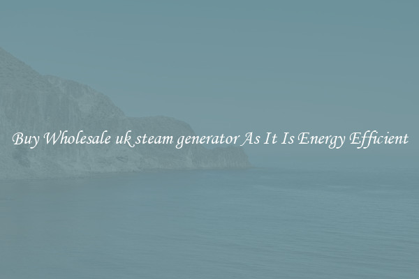 Buy Wholesale uk steam generator As It Is Energy Efficient
